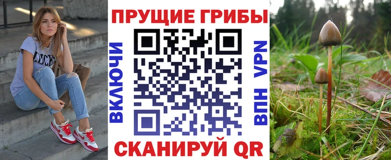 Купить где  Тавда  Псилоцибиновые грибы GOLDEN TEACHER 